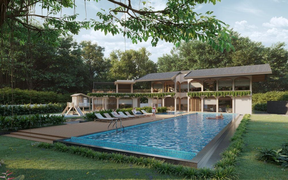 banyan-1